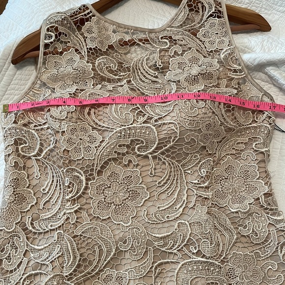 SOLD. New ADRIANNA PAPELL Champagne Lace Dress size 10 - Picture 16 of 17